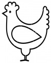 tavuk kalıbı