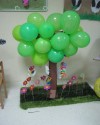 Balon Ağacı