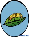 keelebek