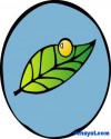 kelebek2