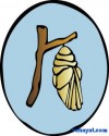 keleeeebek4
