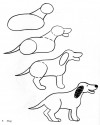 köpek  çalişması