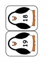 penguenden sayılar