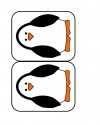 penguenden sayılar