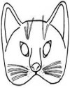 maske kedi