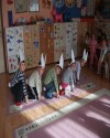 tavşan