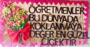 öğretmenler günü (9)