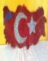 Türk Bayrağı