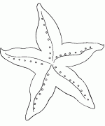 hayvan (2)