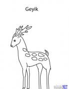 hayvan (26)