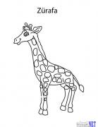 hayvan (4)