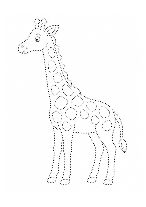 aritamamlama14591921414kn8g.jpg