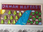 orman haftası (47)