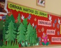 orman haftası (4)