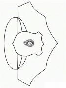 polıs haftası (116)