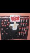 çanakkale zaferi (241)
