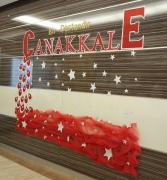 çanakkale zaferi (69)