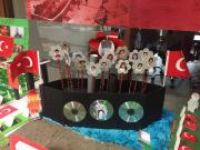 çanakkale zaferi (73)