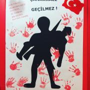 çanakkale zaferi  (24)