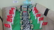 çanakkale zaferi (108)