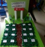 çanakkale zaferi (23)
