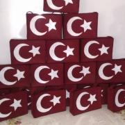 çanakkale zaferi  (67)