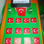 çanakkale zaferi (231)