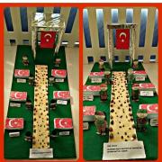çanakkale zaferi (3)