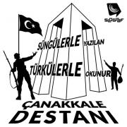 çanakkale zaferi (276)