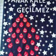 çanakkale zaferi (43)