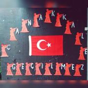 çanakkale zaferi (96)