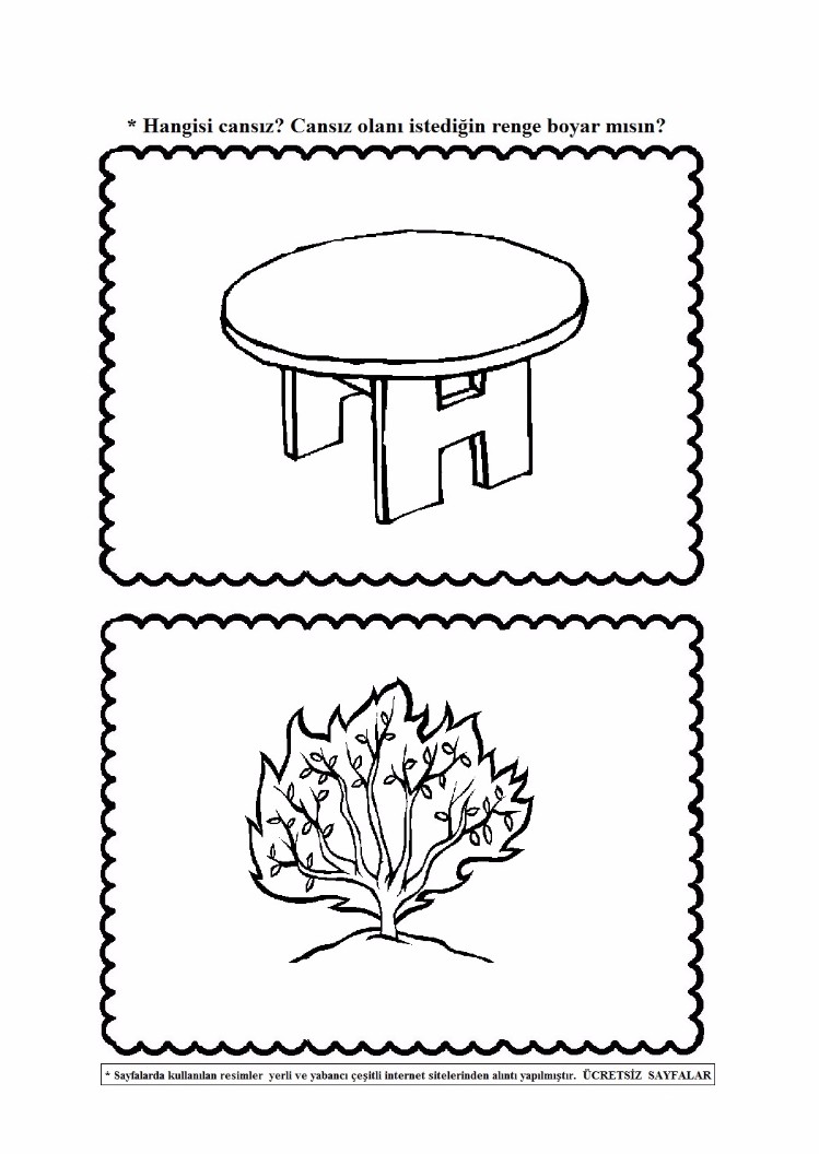 canlı-cansız (5)