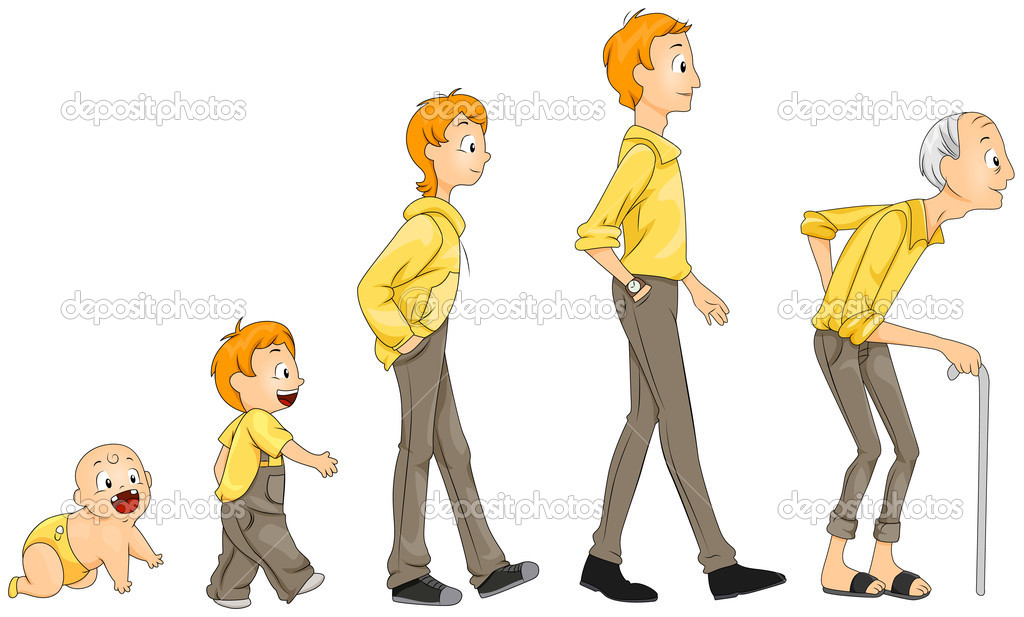 depositphotos_2755114-Life-stages