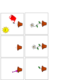 images (5)