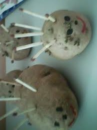 images (7)