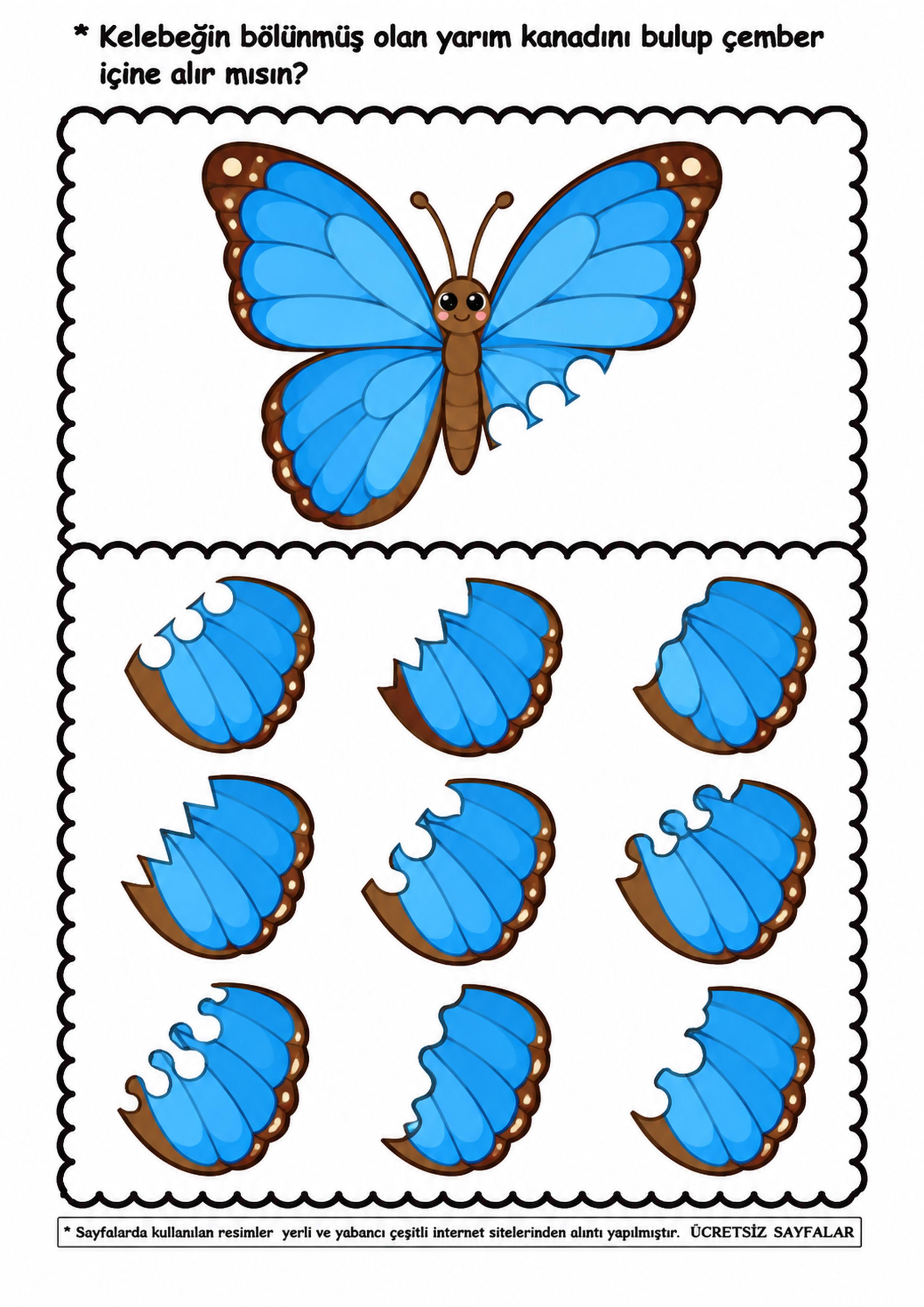 parça-bütün (7)