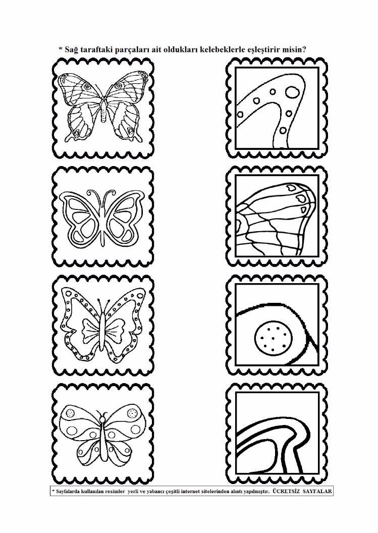 parça-bütün (11)