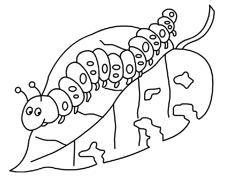 tirtilboyamasayfasicaterpillar-146028445884kgn