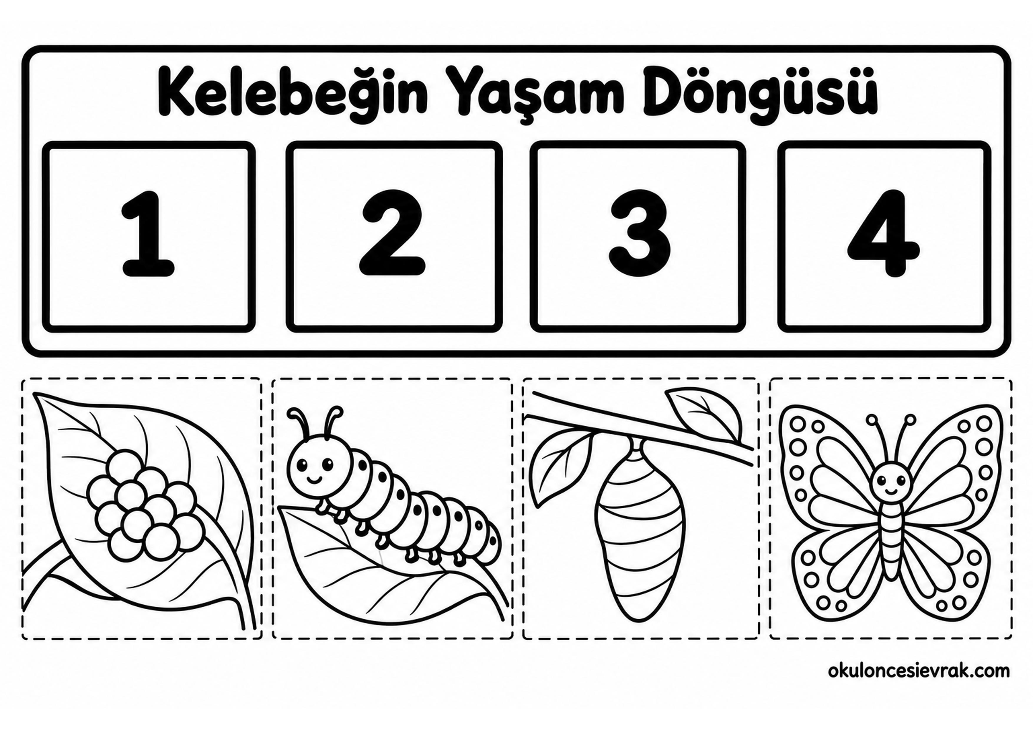 sıra sıra oluşum kavramı (54)