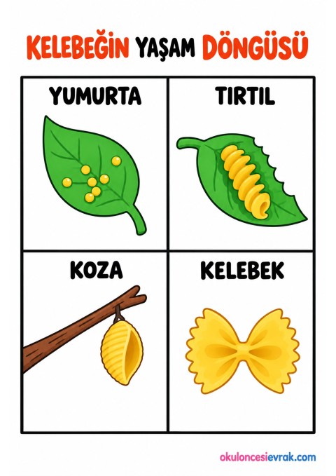 sıra sıra oluşum kavramı (87)