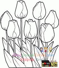images (2)