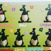 kanguru (8)