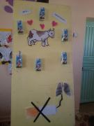 inek (8)