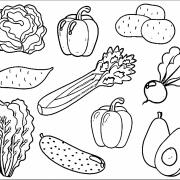 fruits-and-vegetables-coloring-pages-fruits-coloring-page-cosmo-scope