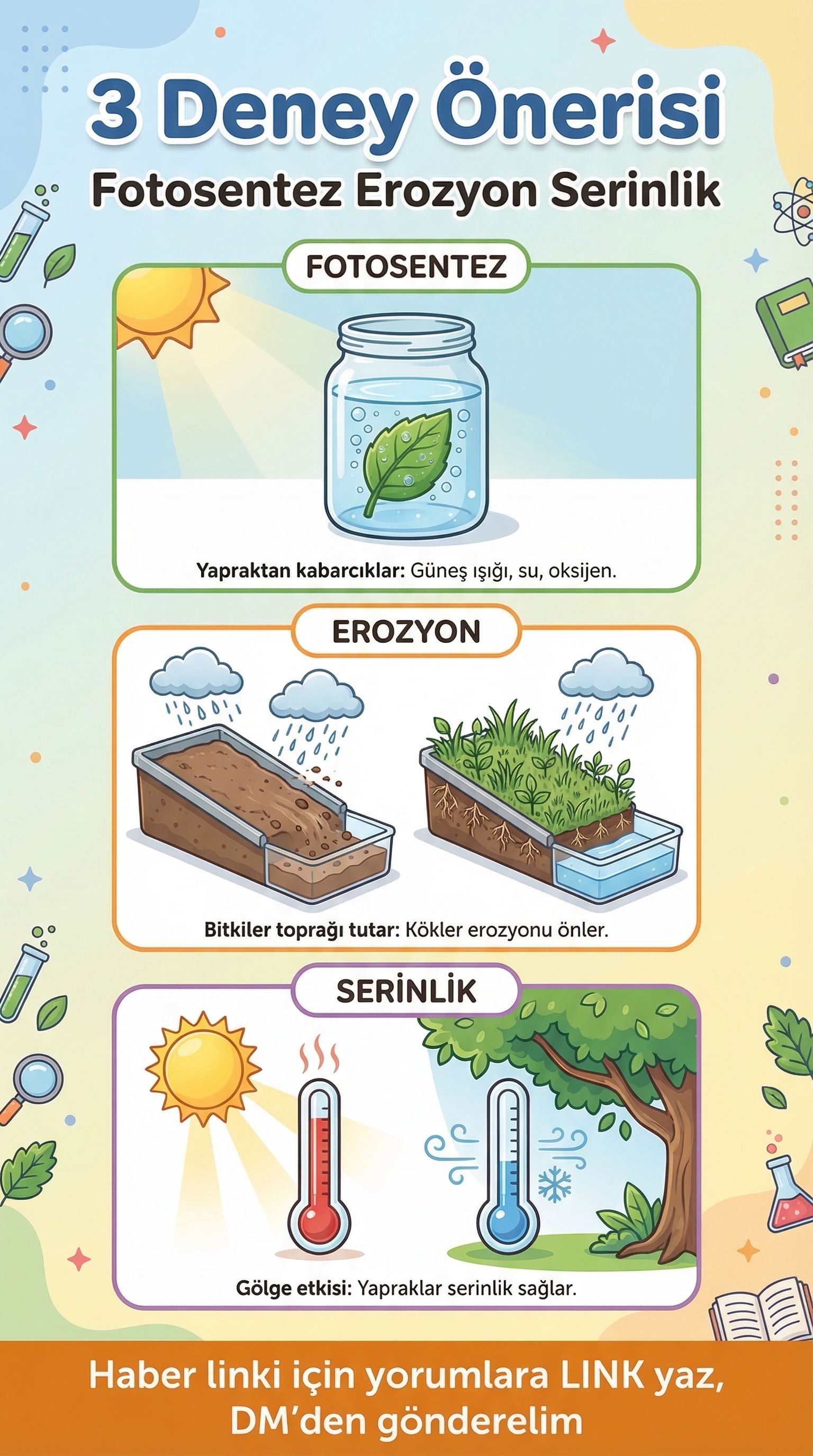 Okul Öncesi Orman Haftası Etkinlik Takvimi