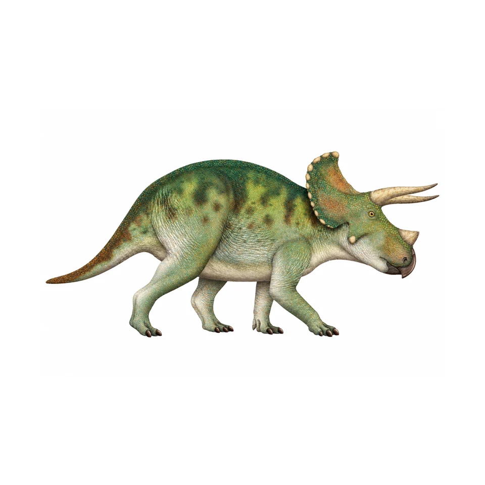 Dinozorlar Alemi: Fosil Avcıları ve Dinozor Adası — örnek sayfa 4